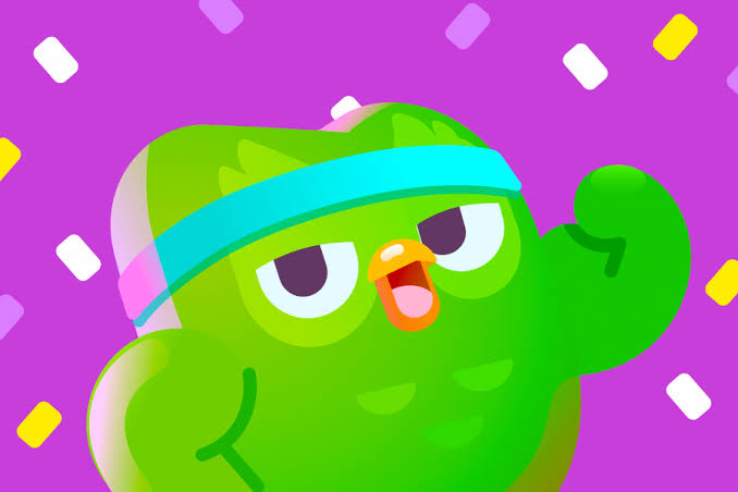 Duolingo 12 meses